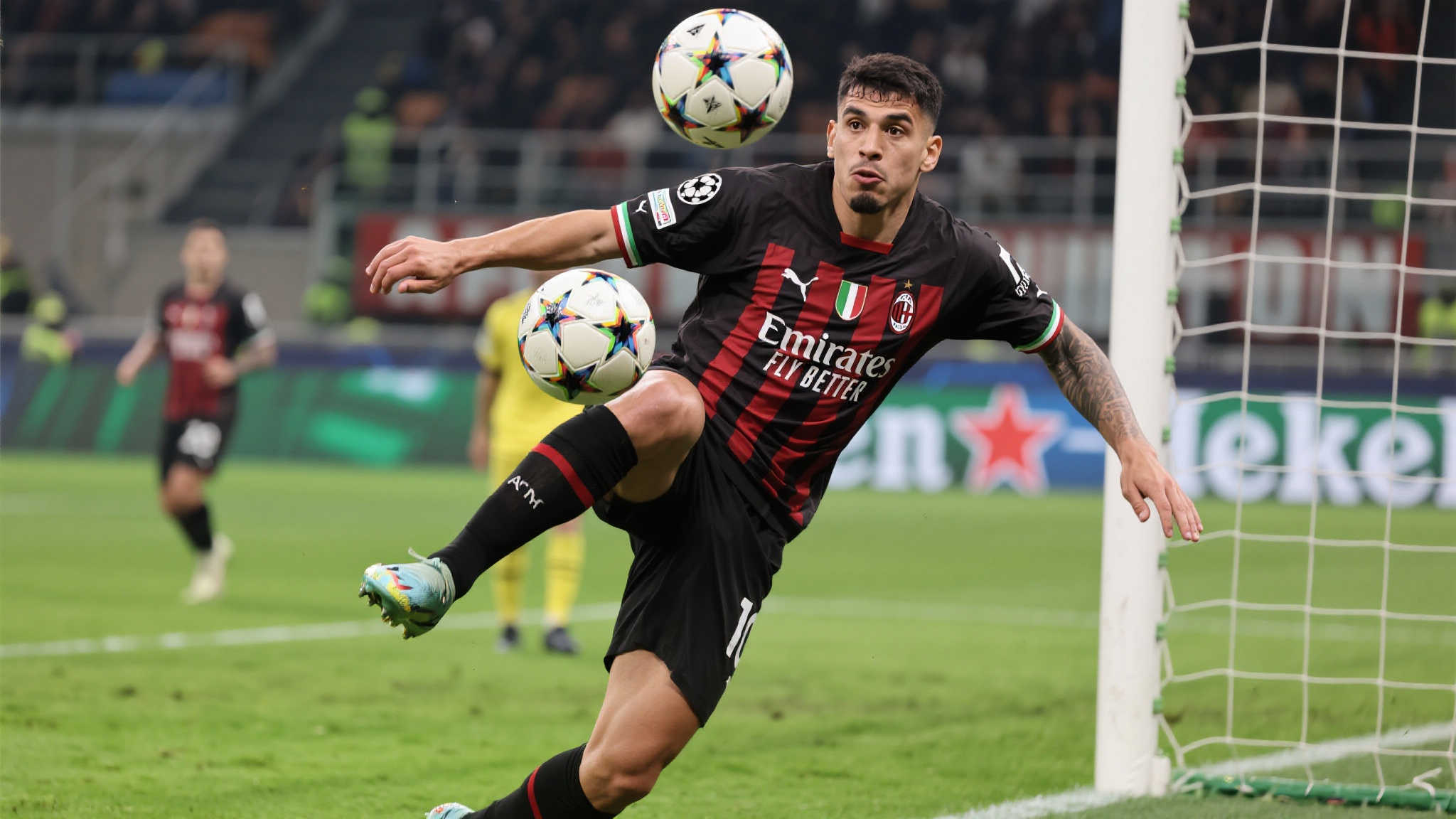 开云kaiyun体育介绍